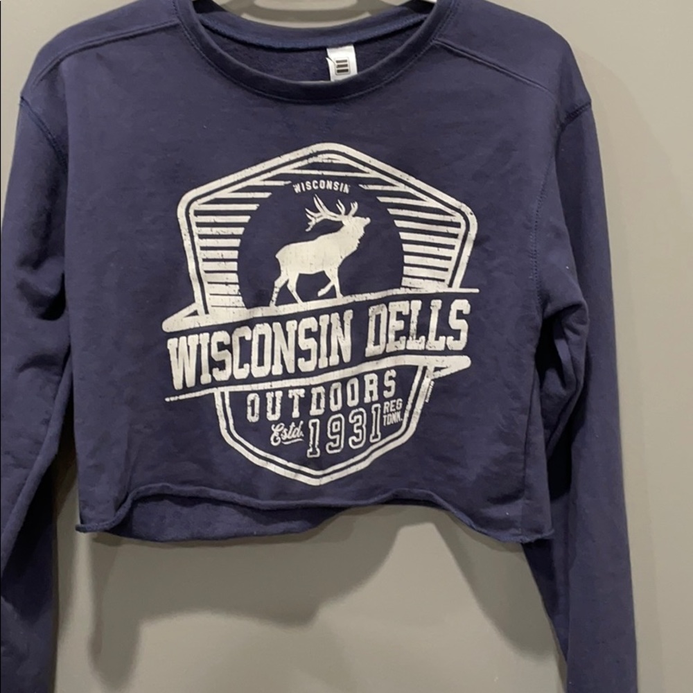 wisconsin dells cropped shirt